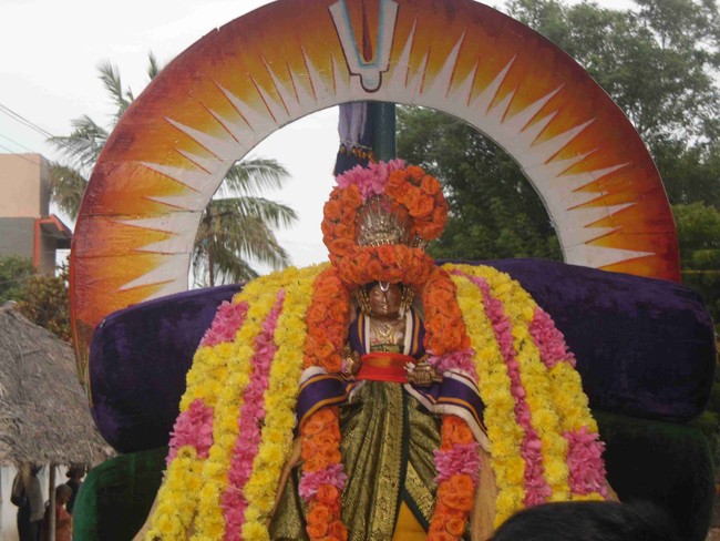 Thirukannamangai  Swami Desikan Thirunakshatra Utsavam Day 9 2014 28