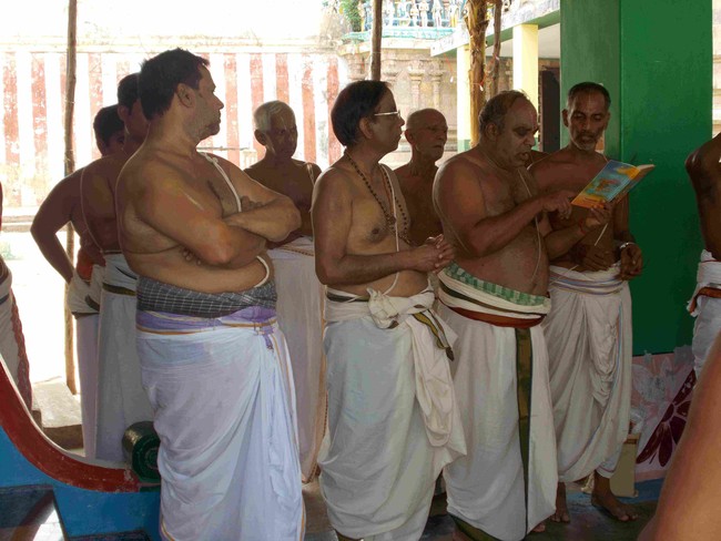 Thirukannamangai Swami Desikan Thirunakshatra Utsavam Satrumurai 2014 20