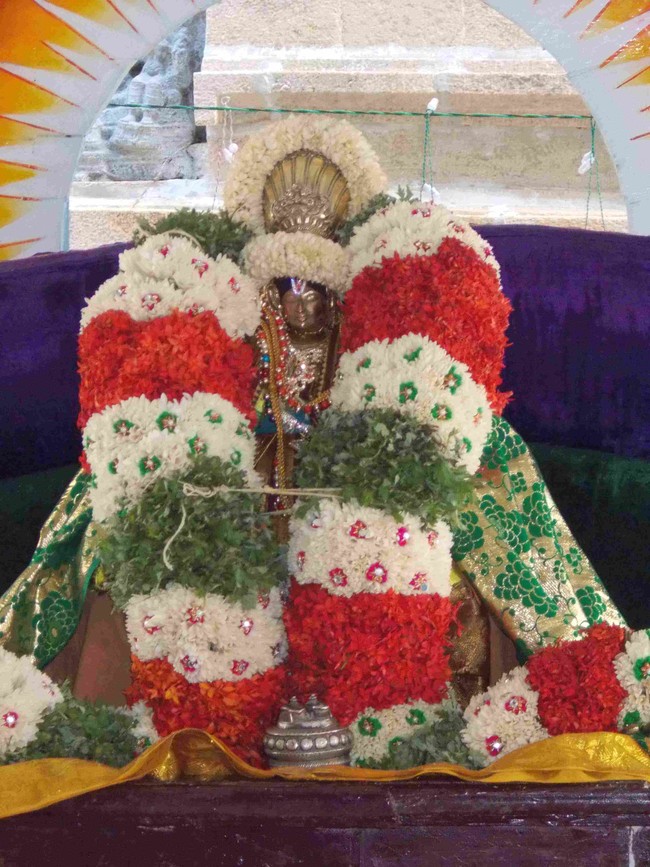 Thirukannamangai Swami Desikan Thirunakshatra Utsavam Satrumurai 2014 34