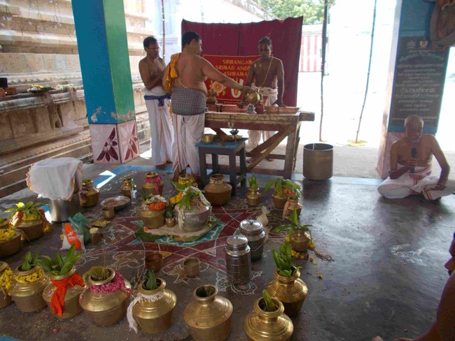 Thirukannamangai Swami Desikan Thirunakshatra utsavam Satrumurai Fetching water from kaveri 2014 28