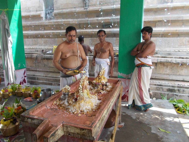 Thirukannamangai Swami Desikan Thirunakshatra utsavam Satrumurai  Thirumanjanam  2014 23