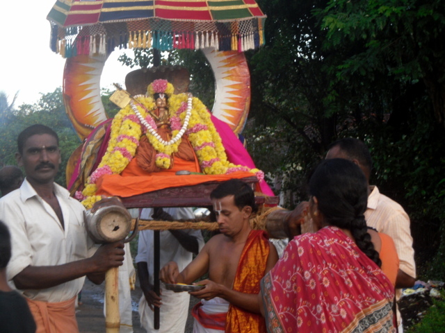 Thirukannamangai Swami Manavala Mamunigal  utsavam  day 7 2014  03