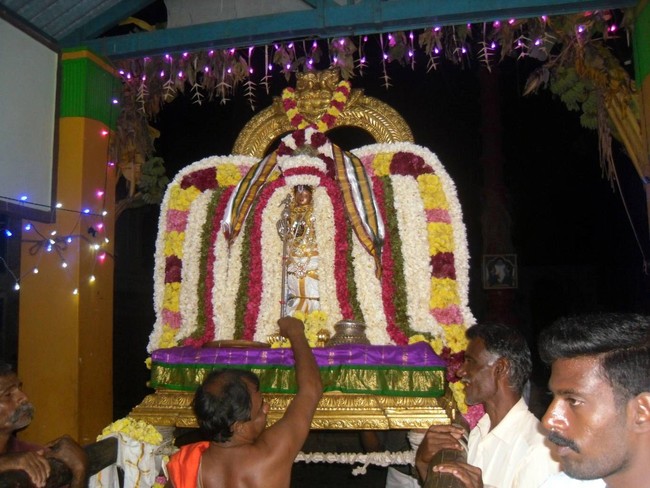 Thirukkannamangai Manavala Mamunigal Utsavam Satrumurai 2014  25