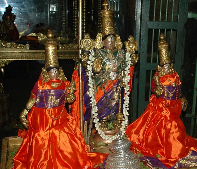 Thiruneermalai Sri Ranganatha Perumal Temple Sri Manavala Mamunigal Thirunakshatra Utsavam8