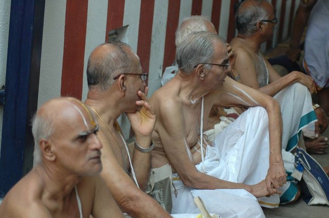 Thiruneermalai Srirangam Srimad Andavan Ashramam Swami Desikan Thirunakshatra Mahotsavam13