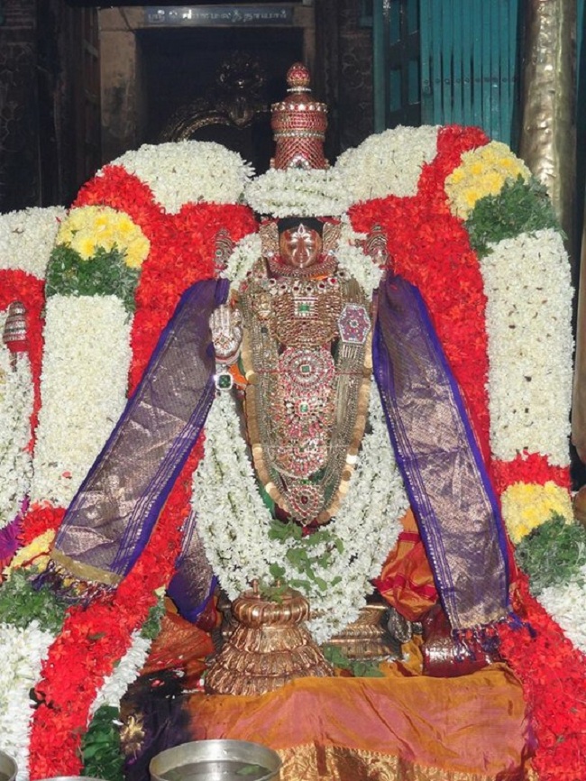 Thiruvahindrapuram Sri Devanathan Perumal Temple Navarathiri Utsavam11