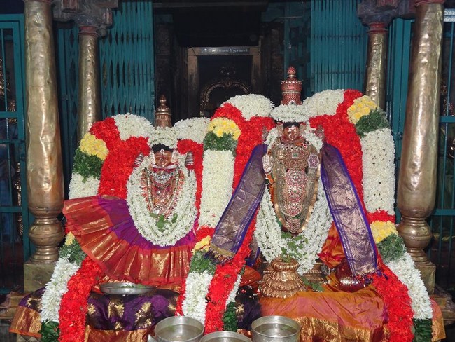 Thiruvahindrapuram Sri Devanathan Perumal Temple Navarathiri Utsavam12