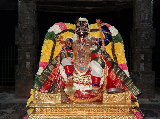 Thiruvahindrapuram Sri Devanathan Perumal Temple Swami Desikan Varshika Theppotsavam4
