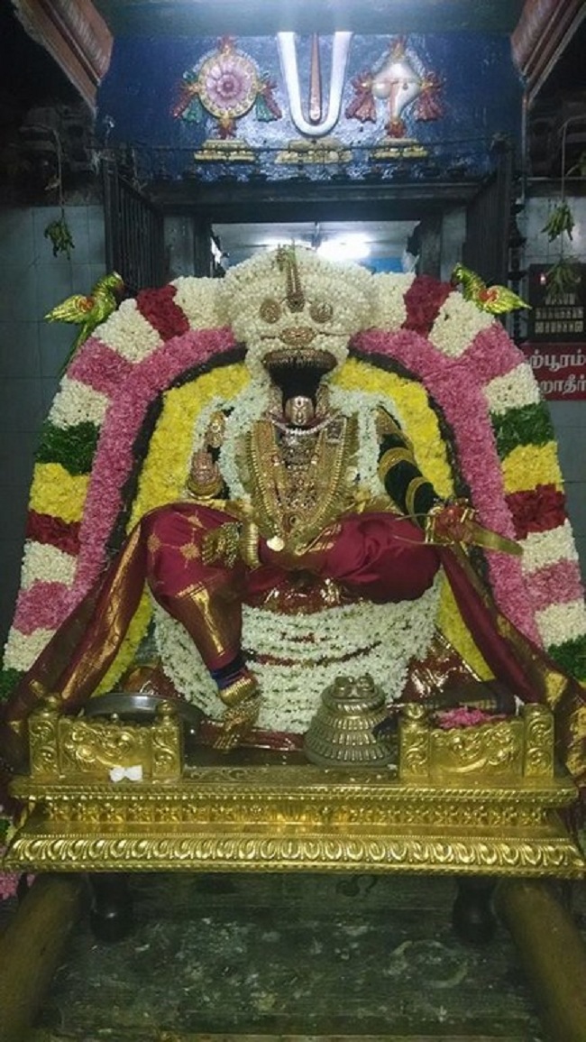 Thiruvahindrapuram Sri Devanathan Perumal Temple Swami Desikan Vidayatri Utsavam Satrumurai4