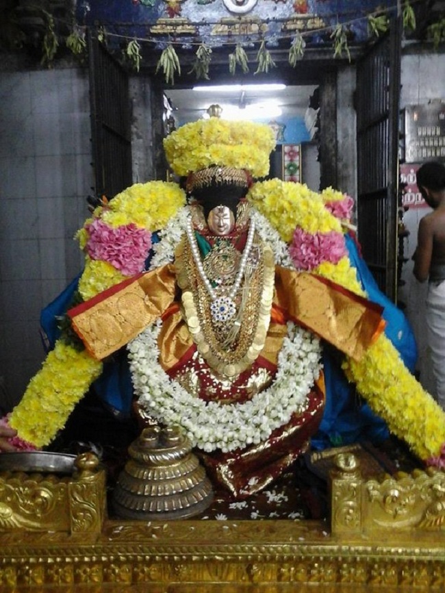 Thiruvahindrapuram Sri Devanathan Perumal Temple Swami Desikan Vidayatri Utsavam2