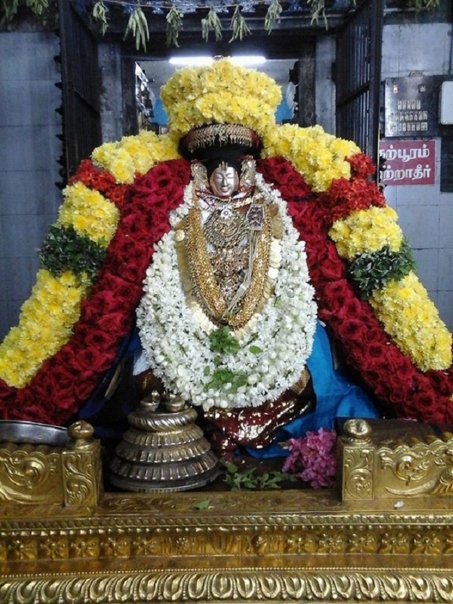 Thiruvahindrapuram Sri Devanathan Perumal Temple Swami Desikan Vidayatri Utsavam4