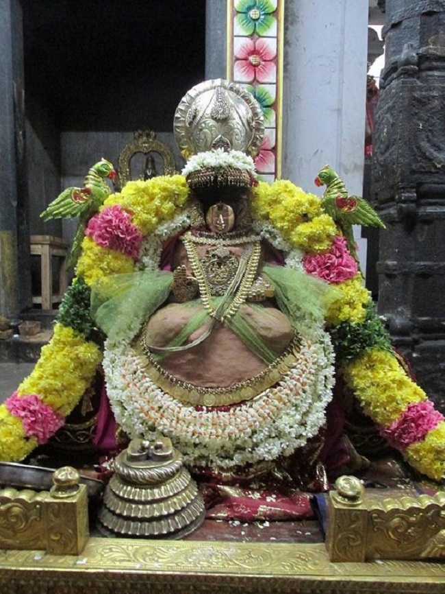 Thiruvahindrapuram Sri Devanathan Perumal Temple Swami Desikan Vidayatri Utsavam4