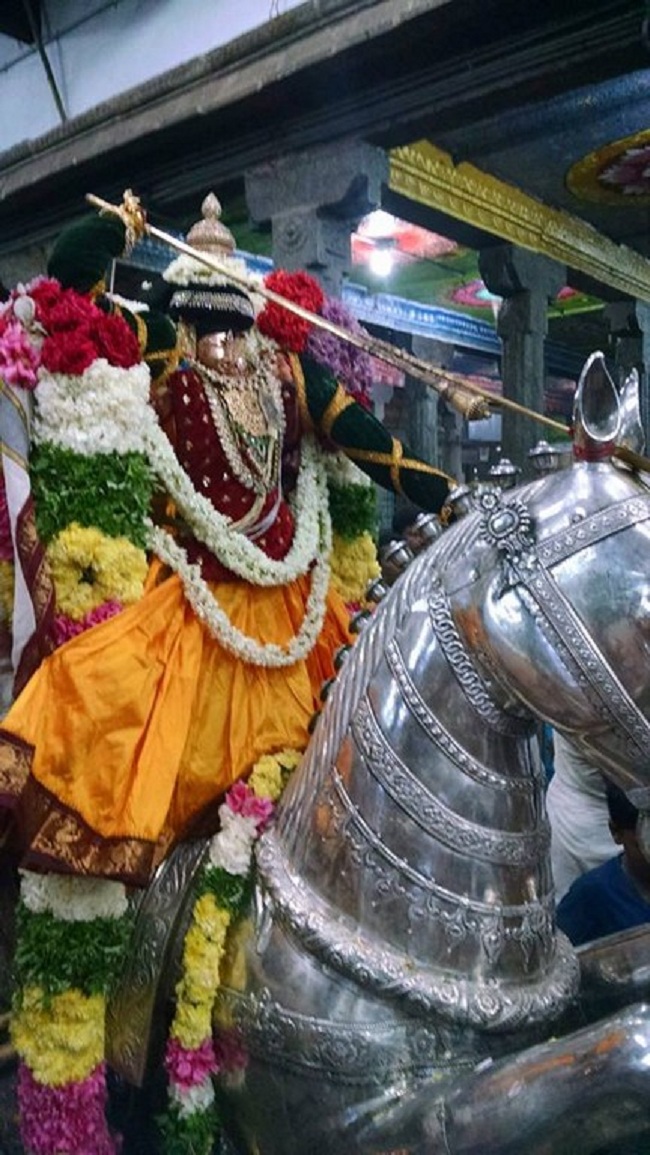 Thiruvahindrapuram Sri Devanathan Perumal Temple Vijayadasami Parivettai Utsavam3