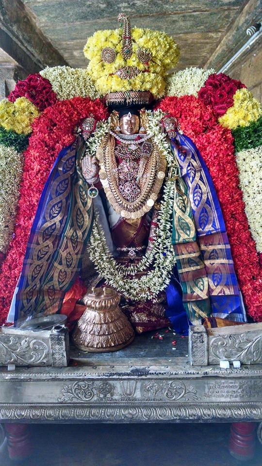 Thiruvahindrapuram Sri Viswaksenar Avatara Utsavam 3