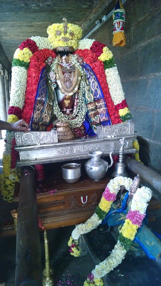 Thiruvahindrapuram Sri Viswaksenar Avatara Utsavam 4