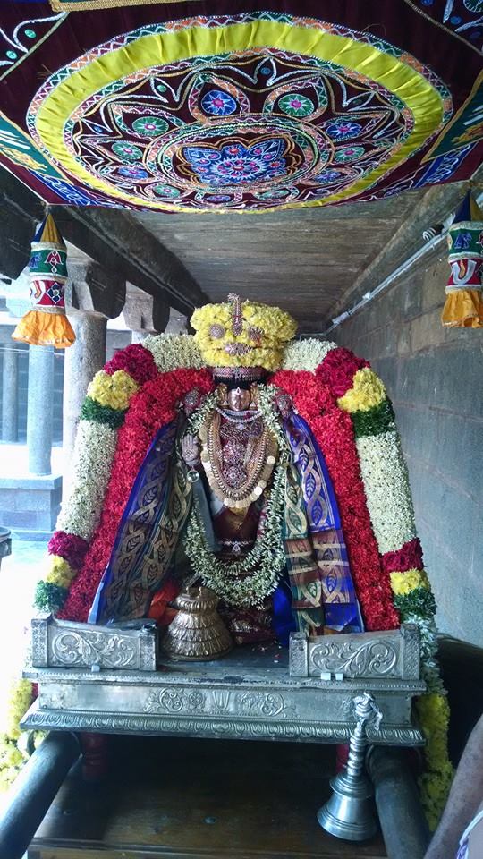 Thiruvahindrapuram Sri Viswaksenar Avatara Utsavam 6