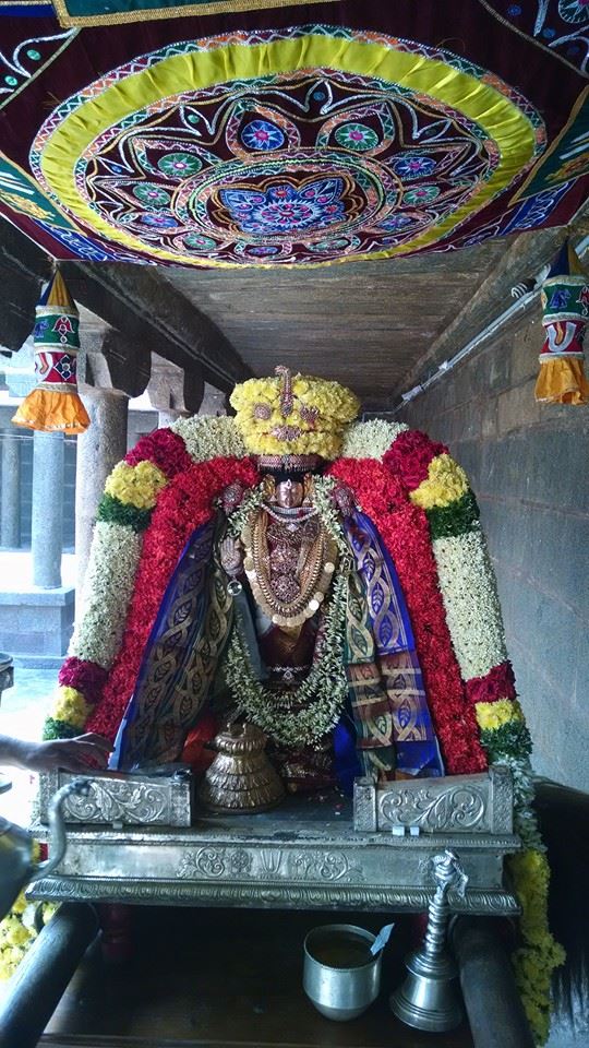 Thiruvahindrapuram Sri Viswaksenar Avatara Utsavam 7