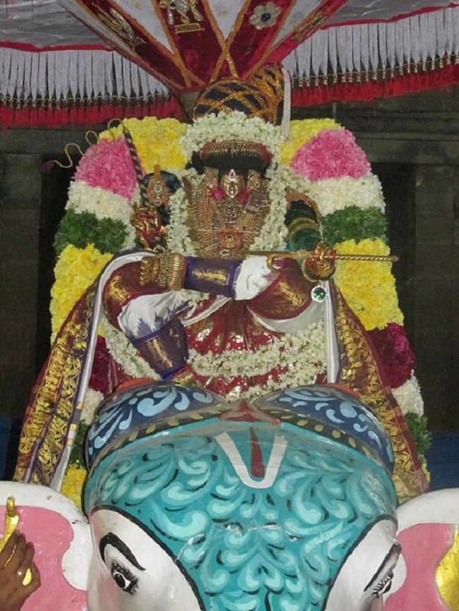 Thiruvahindrapuram Swami Desikan Varshika Thirunakshatra Mahotsavam13