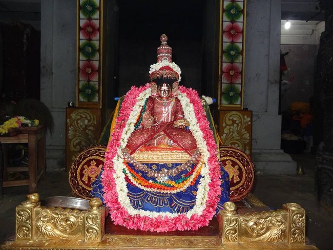 Thiruvahindrapuram Swami Desikan Varshika Thirunakshatra Mahotsavam16