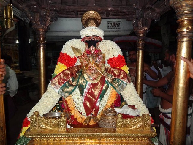 Thiruvahindrapuram Swami Desikan Varshika Thirunakshatra Mahotsavam17