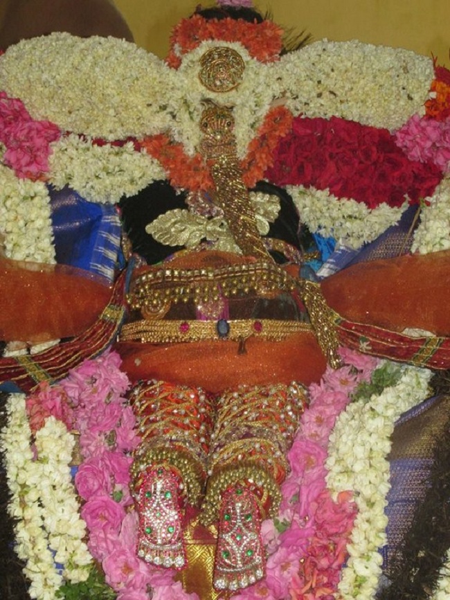 Thiruvahindrapuram Swami Desikan Varshika Thirunakshatra Mahotsavam19
