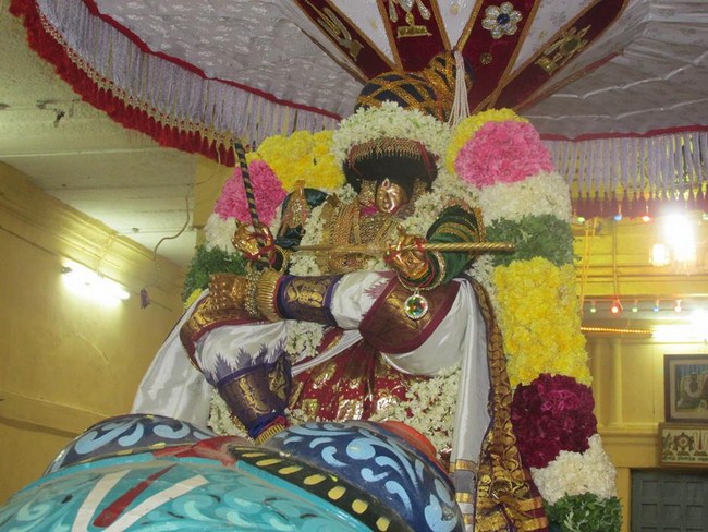 Thiruvahindrapuram Swami Desikan Varshika Thirunakshatra Mahotsavam22
