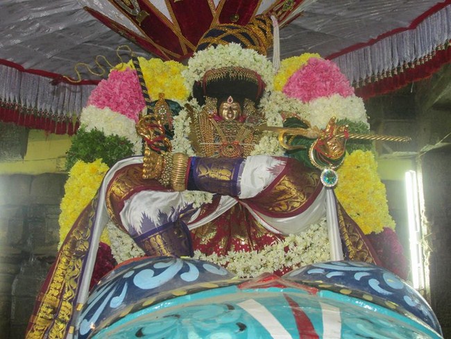 Thiruvahindrapuram Swami Desikan Varshika Thirunakshatra Mahotsavam25