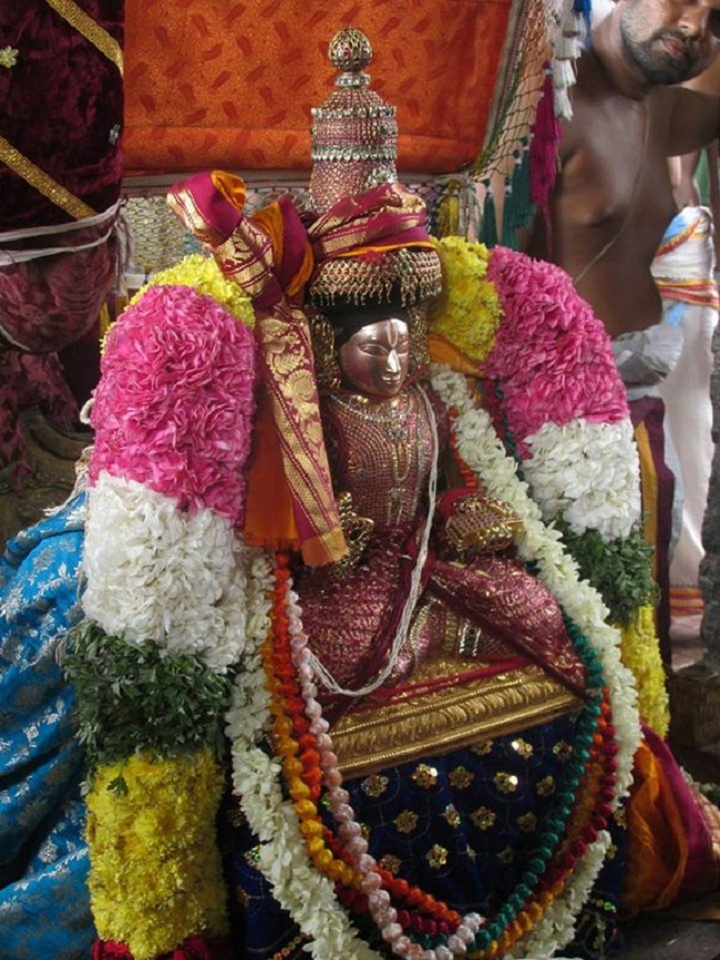 Thiruvahindrapuram Swami Desikan Varshika Thirunakshatra Mahotsavam29