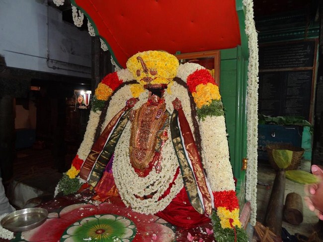 Thiruvahindrapuram Swami Desikan Varshika Thirunakshatra Mahotsavam43