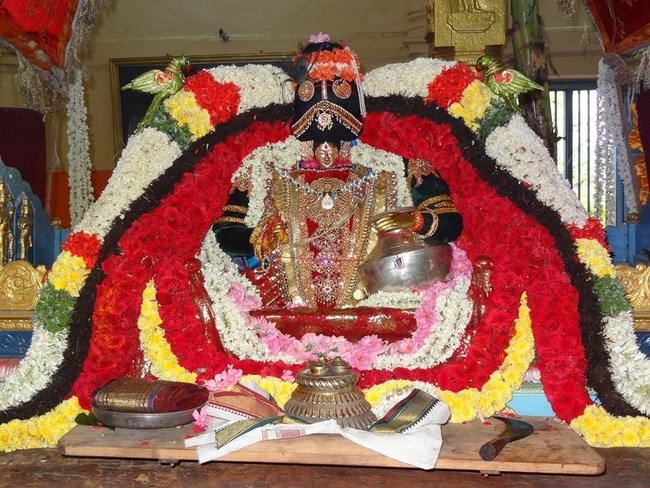 Thiruvahindrapuram Swami Desikan Varshika Thirunakshatra Mahotsavam5