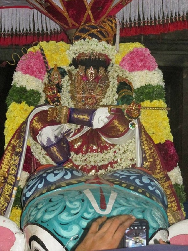 Thiruvahindrapuram Swami Desikan Varshika Thirunakshatra Mahotsavam5