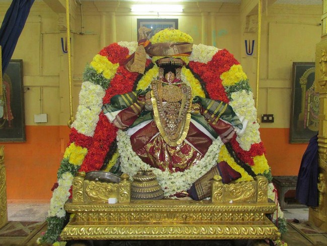 Thiruvahindrapuram Swami Desikan Varshika Thirunakshatra Mahotsavam7