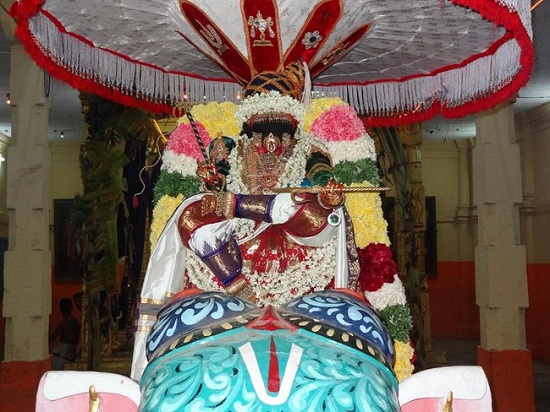Thiruvahindrapuram Swami Desikan Varshika Thirunakshatra Mahotsavam8