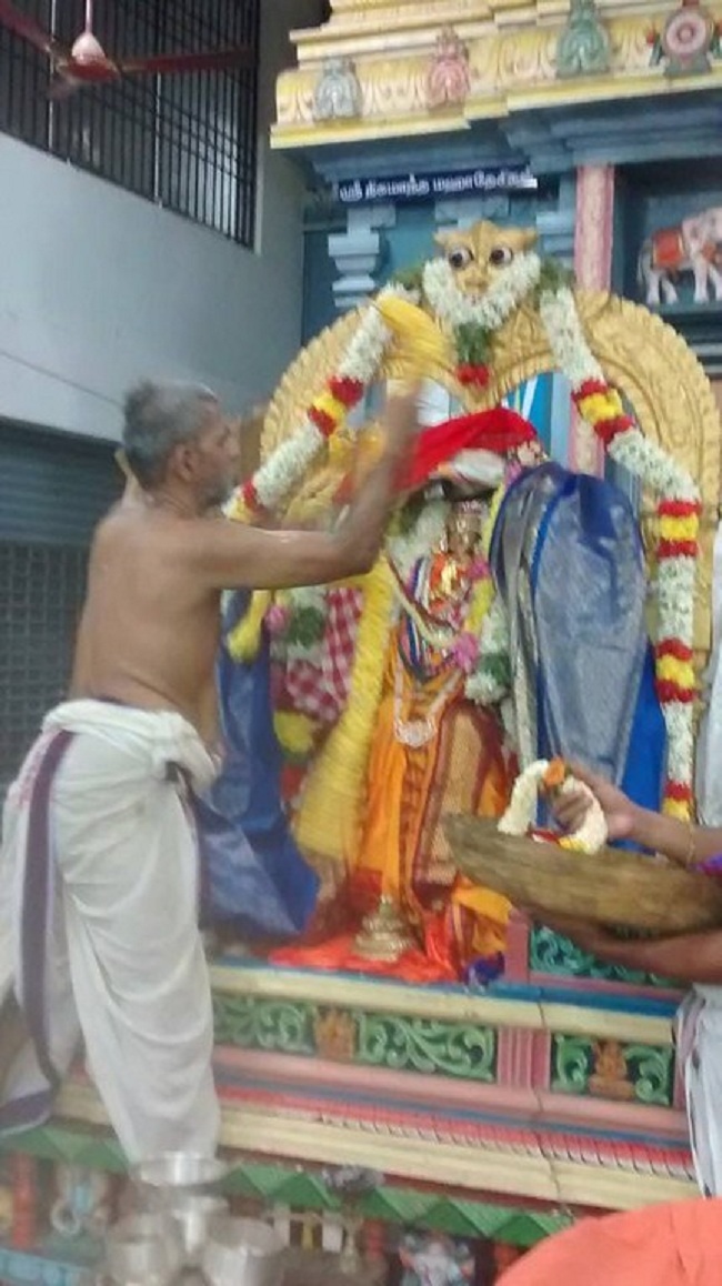 Thiruvallikeni Ahobila Mutt Srimath Adhivan Sathakopa Yathindra Maha Desikan Thirunakshatra Utsavam 12