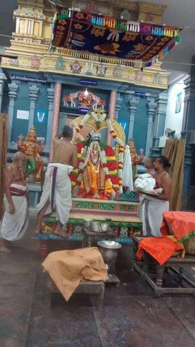 Thiruvallikeni Ahobila Mutt Srimath Adhivan Sathakopa Yathindra Maha Desikan Thirunakshatra Utsavam 16
