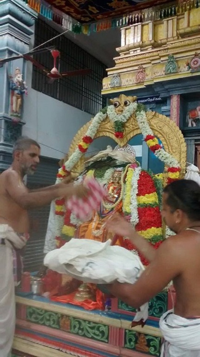 Thiruvallikeni Ahobila Mutt Srimath Adhivan Sathakopa Yathindra Maha Desikan Thirunakshatra Utsavam 19