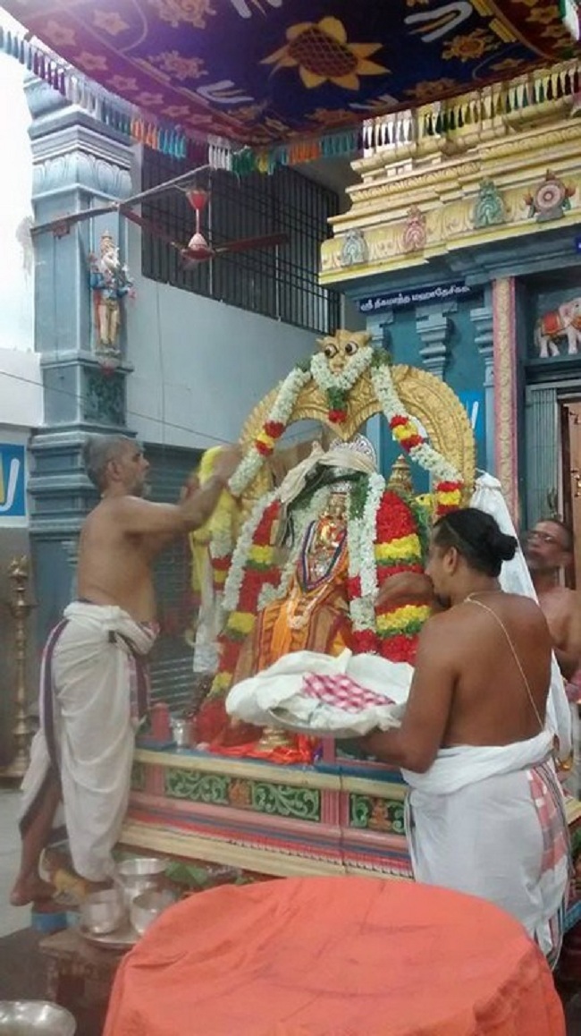 Thiruvallikeni Ahobila Mutt Srimath Adhivan Sathakopa Yathindra Maha Desikan Thirunakshatra Utsavam 27
