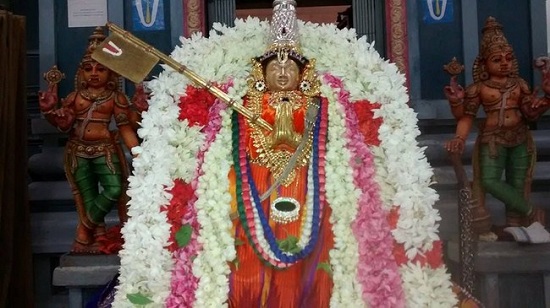 Thiruvallikeni Ahobila Mutt Srimath Adhivan Sathakopa Yathindra Maha Desikan Thirunakshatra Utsavam 7