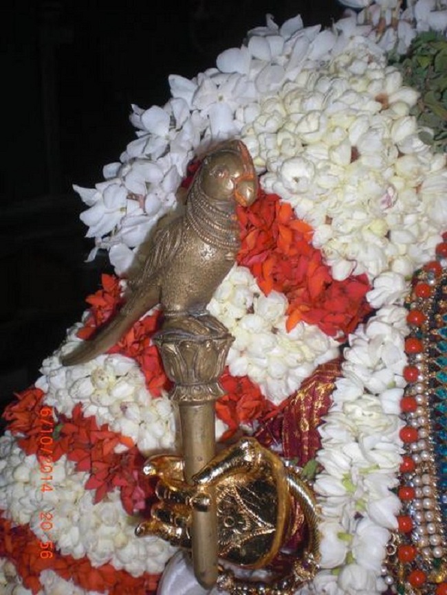 Thiruvallikeni Ahobila Mutt Swami Desikan Thirunakshatra Utsavam10