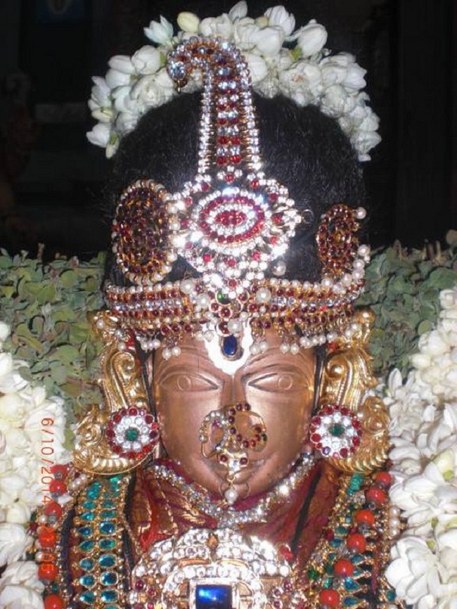 Thiruvallikeni Ahobila Mutt Swami Desikan Thirunakshatra Utsavam14