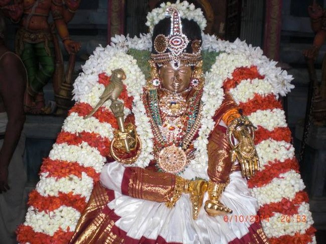 Thiruvallikeni Ahobila Mutt Swami Desikan Thirunakshatra Utsavam18