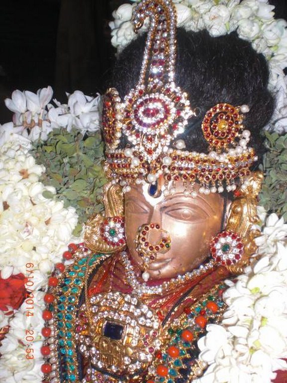 Thiruvallikeni Ahobila Mutt Swami Desikan Thirunakshatra Utsavam19