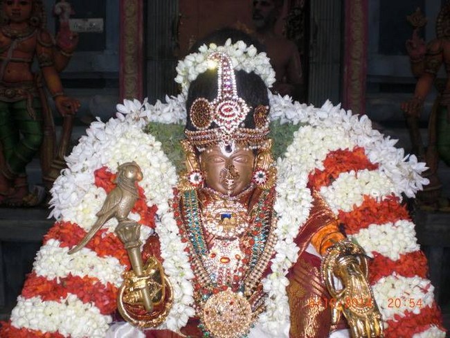 Thiruvallikeni Ahobila Mutt Swami Desikan Thirunakshatra Utsavam4