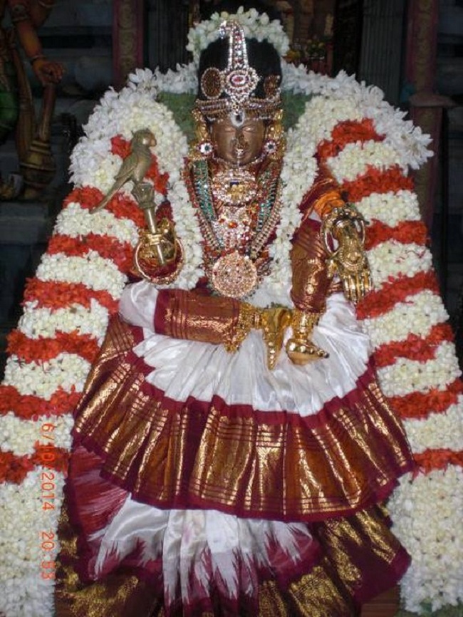Thiruvallikeni Ahobila Mutt Swami Desikan Thirunakshatra Utsavam5