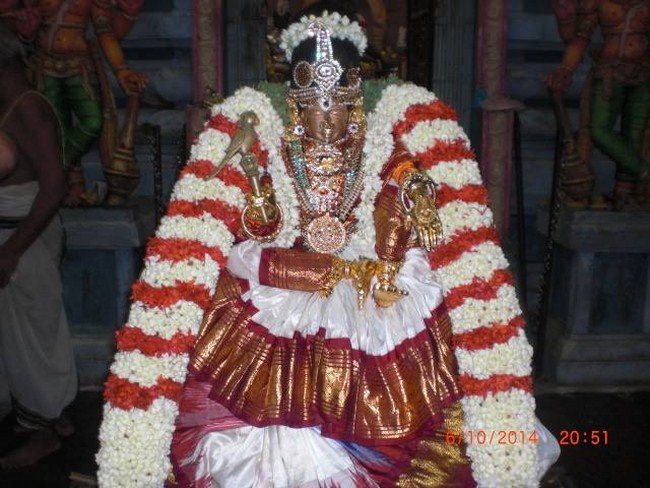 Thiruvallikeni Ahobila Mutt Swami Desikan Thirunakshatra Utsavam6