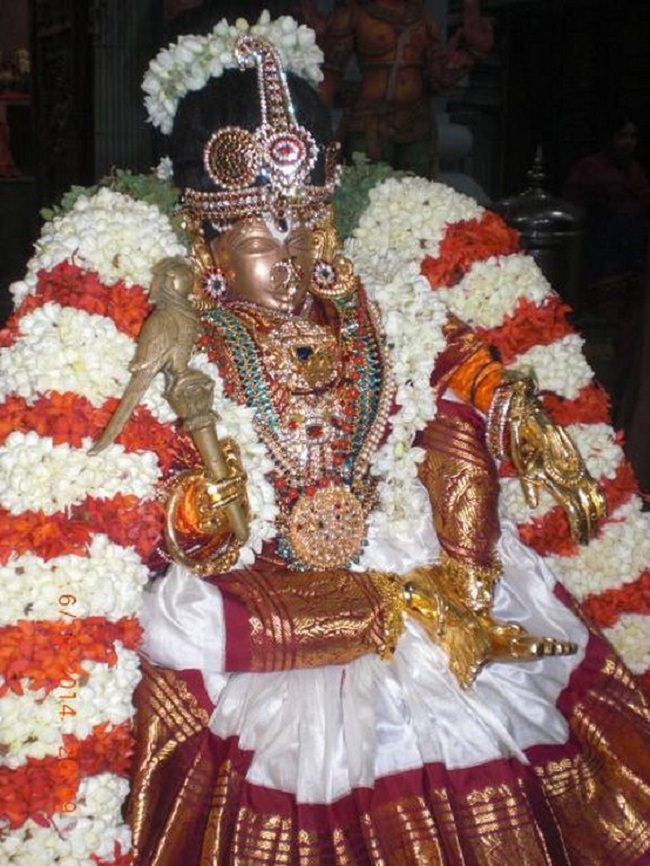 Thiruvallikeni Ahobila Mutt Swami Desikan Thirunakshatra Utsavam8