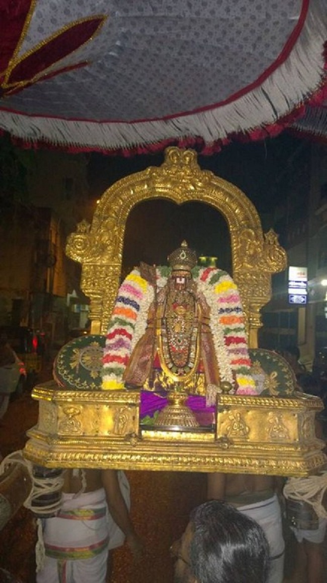 Thiruvallikeni Sri Parthasarathy Perumal Temple Ammavasai Purappadu3