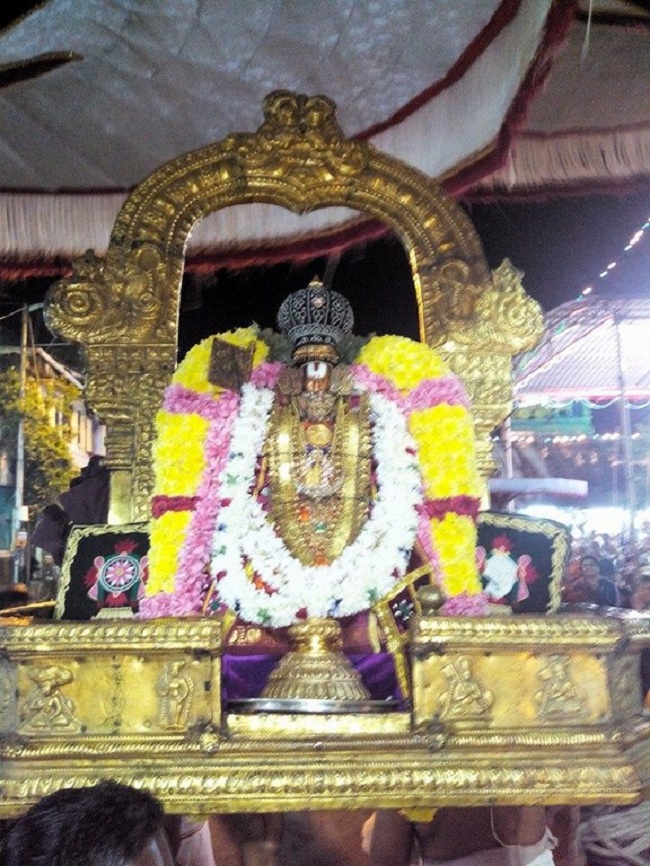 Thiruvallikeni Sri Parthasarathy Perumal Temple Annakoota Utsavam Purappadu12
