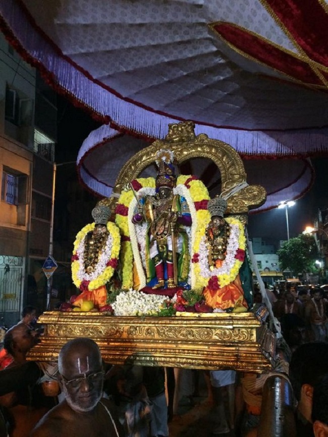 Thiruvallikeni Sri Parthasarathy Perumal Temple Annakoota Utsavam Purappadu5