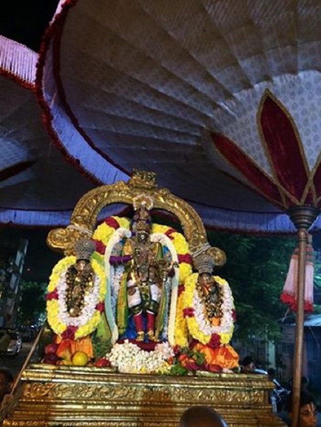 Thiruvallikeni Sri Parthasarathy Perumal Temple Annakoota Utsavam Purappadu8